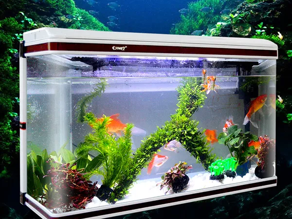 Glas-Aquarium